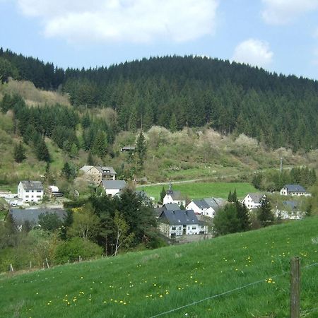 Beautiful Apartment In Merschbach With Garden Zewnętrze zdjęcie